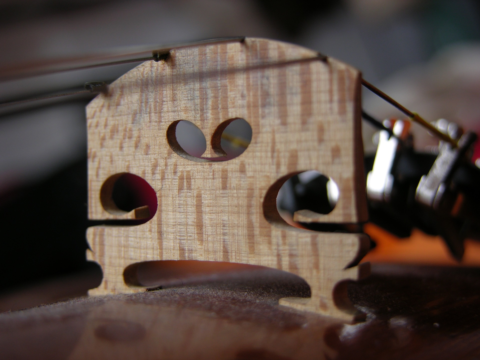 Cutting A Violin Bridge At Marjorie Lockett Blog Cutting A Violin Bridge At Marjorie Lockett Blog